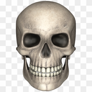 Skull - Skull Png, Transparent Png