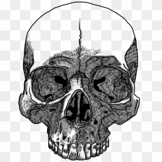 Drawn Skull Transparent Skull, HD Png Download
