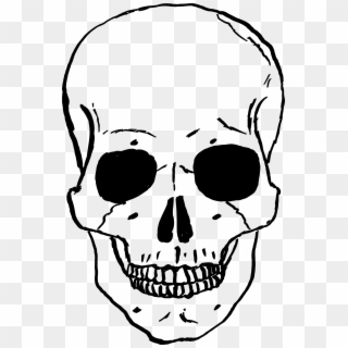 Skeleton Head Transparent - Human Skull Cartoon, HD Png Download