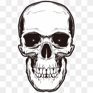 Skull Head Drawing Transparent Background, HD Png Download