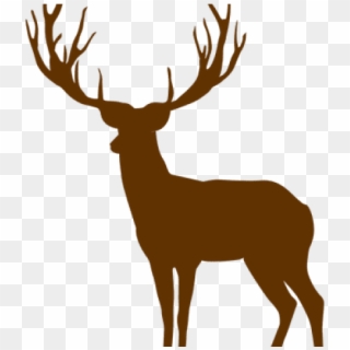 Caribou Clipart Rudolph - Long Horn Deer Transparent Background, HD Png Download