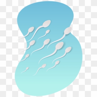 6 Little-known Facts About Sperm For Men's Health - Illustration, HD Png Download