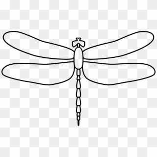 Download Dragonfly Png Transparent For Free Download Pngfind