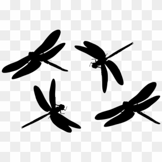 Download Dragonfly Png Transparent For Free Download Pngfind