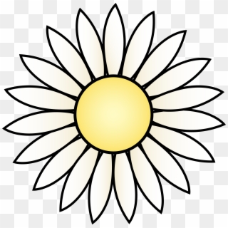Daisy Clip Art Outline, HD Png Download