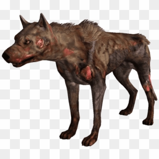 Free Png Download Wild Dogs Free Png Png Images Background - Savage Dog Fallout, Transparent Png