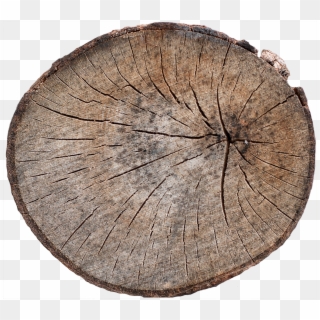 Wood End 14 - Tree Stump, HD Png Download
