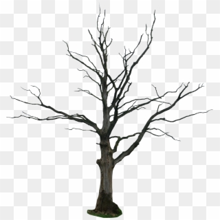 A Dying Tree Png - Transparent Tree Cartoon Png, Png Download