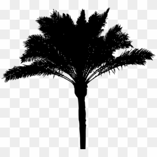 Free Png Palm Tree Silhouette Png - Palm Tree Silhouette Png, Transparent Png