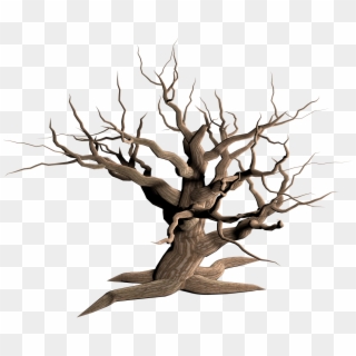 Tree Dead Branches - Dead Tree Transparent Background, HD Png Download