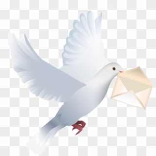 Birthday Wishes With Pigeon, HD Png Download
