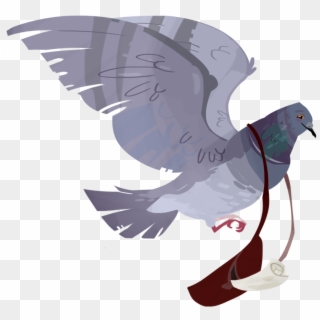 Pigeon PNG Transparent For Free Download - PngFind