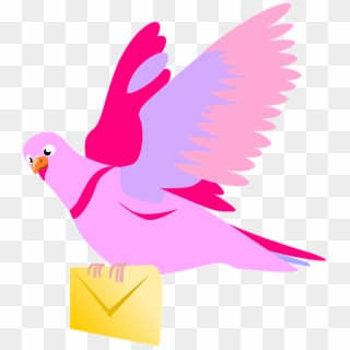 Message Clipart Pigeon - Flying Pigeon Clipart, HD Png Download