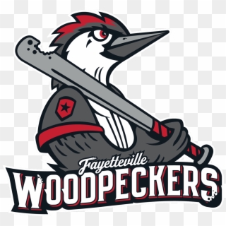 Houston Astrosverified Account - Fayetteville Woodpeckers, HD Png Download