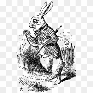 Down The Rabbit Hole - John Tenniel White Rabbit, HD Png Download