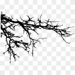 Png File Size - Tree Branch Silhouette Png, Transparent Png