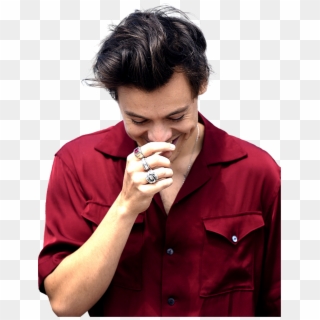 Report Abuse - Harry Styles, HD Png Download