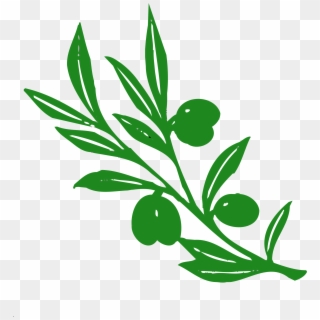 This Free Icons Png Design Of Olive Tree Branch, Transparent Png