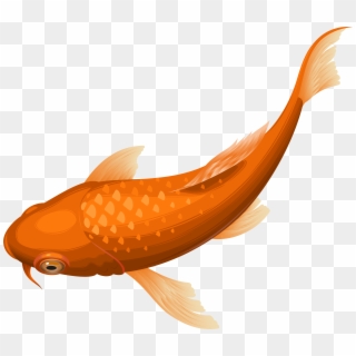 Orange Koi Fish Transparent Clip Art Png Image, Png Download