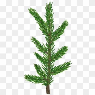 Pinebranch4-inunity - Pine Tree Leaf Png, Transparent Png