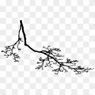 Tree Branch Silhouette Png - Tree Branch Silhouette Transparent, Png Download