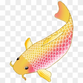 Colorful Koi Fish Drawings Vector Freeuse Download - Transparent Background Koi Fish Clipart, HD Png Download