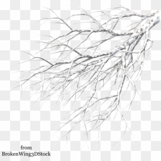 White Branch Png - Winter Tree Branches Transparent Background, Png Download