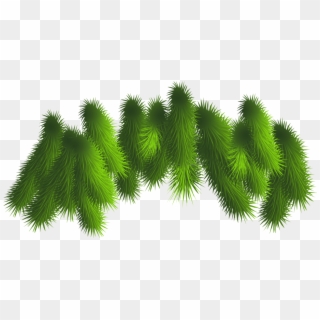 Christmas Tree Branches Png, Transparent Png