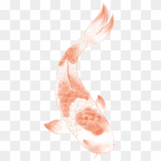 Butterfly Koi Chinese Tattoo Carp Wind Clipart - Fish, HD Png Download