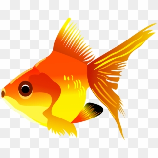 Goldfish Koi Cartoon Drawing - Fish Clipart Transparent Background, HD Png Download