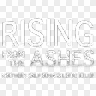 Rising From The Ashes - Calligraphy, HD Png Download