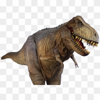 T Rex Png Transparent Hd Photo - Tyrone The T Rex, Png Download