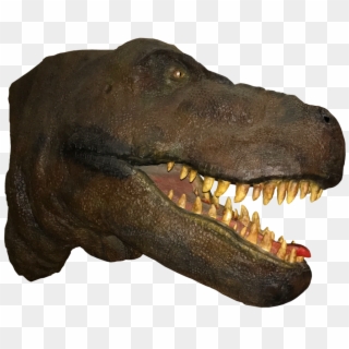 T Rex Head Png - Tyrannosaurus, Transparent Png