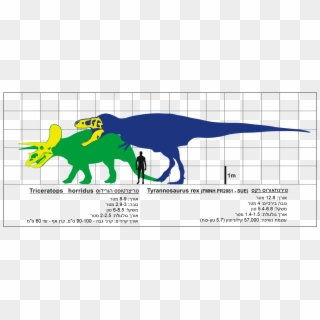 T Rex Ve Triceratops Svg Hebrew - Tyrannosaurus Rex Size, HD Png Download