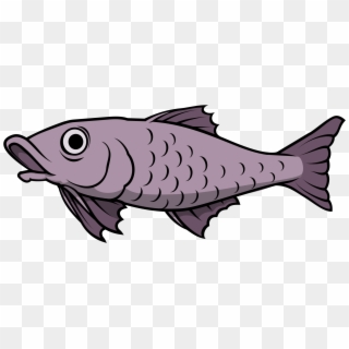 Fish Png Transparent For Free Download Page 2 Pngfind