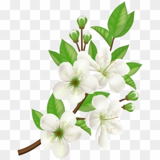 Royalty-free Computer Icons Flower - White Flower Vector Png, Transparent Png