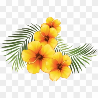 Yellow Hibiscus Flower Vector Royalty Free Download - Tropical Flowers Transparent Background, HD Png Download