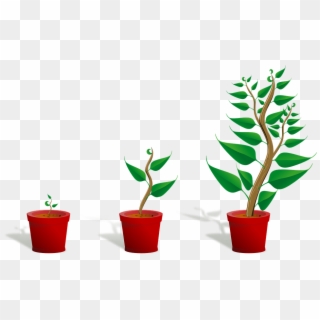 Growth Mindset, People Growth, Learning And Development, - Getting To Know Plants, HD Png Download