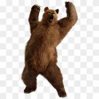 Grizzly Bear Standing Png Image - Bear Png, Transparent Png