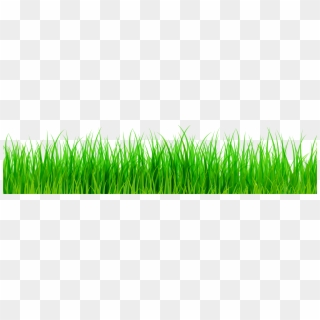 Green Grass Png Clip Art, Transparent Png