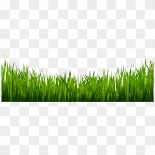 Grass Png Images - Grass And Plants Png, Transparent Png
