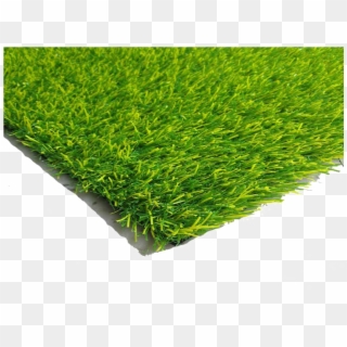 Fake Grass Png Hd - Hd Png Grass, Transparent Png