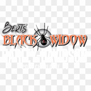 Bert's Black Widow - Bert's Black Widow Logo, HD Png Download