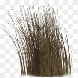 Dry Grass Png - Long Dry Grass Png, Transparent Png