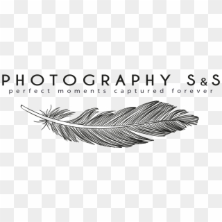 Onsite Photography Transparent Photography Logo Png Png Download 1024x634 Pngfind