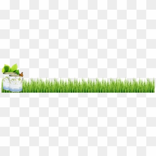 Grass Footer Web Design, HD Png Download