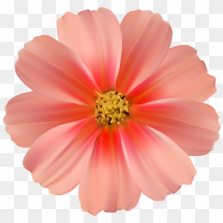 Daisy, Orange, Clipart Images, Clip Art, Flowers, Daisies, - Png Background Flower Hd Png, Transparent Png