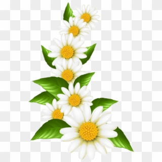 Free Png Download Daisies Decoration Transparent Clipart - Transparent Daisy, Png Download