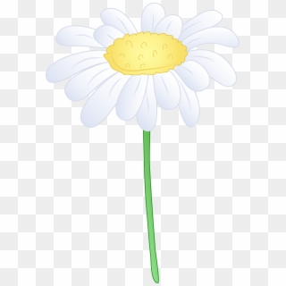 Image Library Download White Flower Free Clip Art - White Daisy Flowers Transparent, HD Png Download