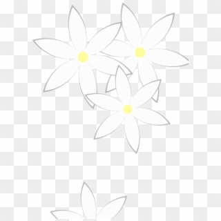 Daisies Png, Transparent Png